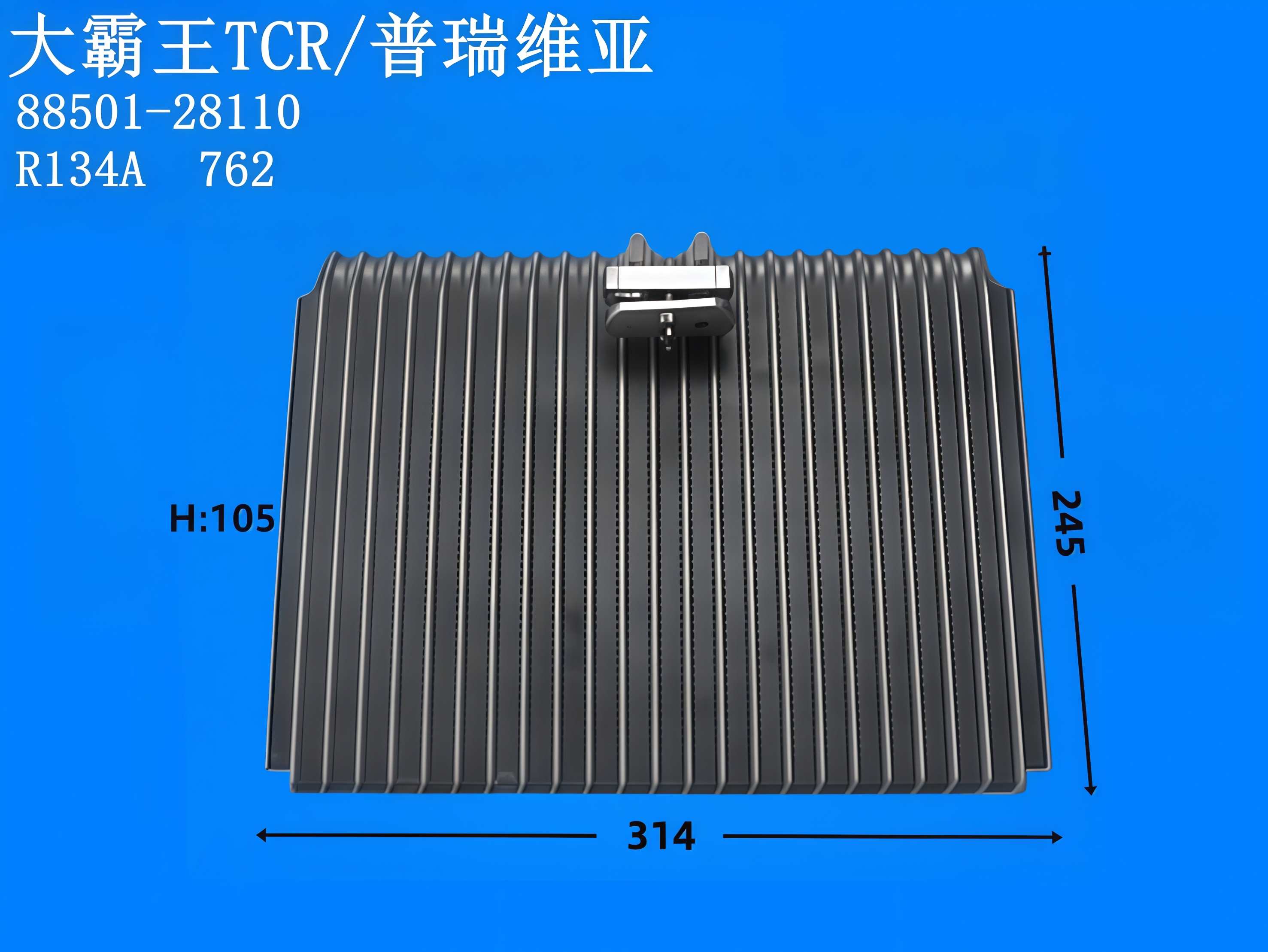 大霸王TCR