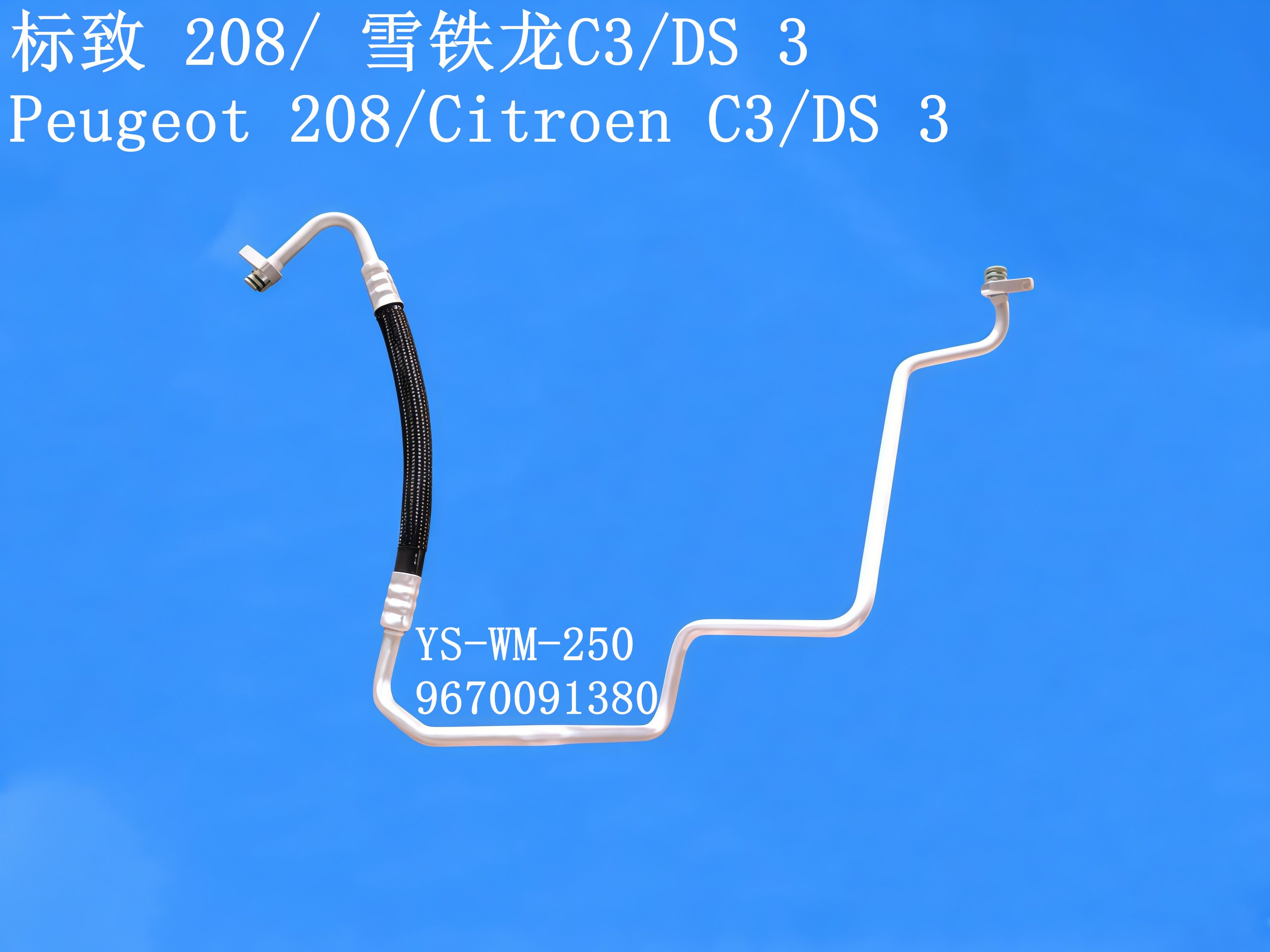 YS-WM-250