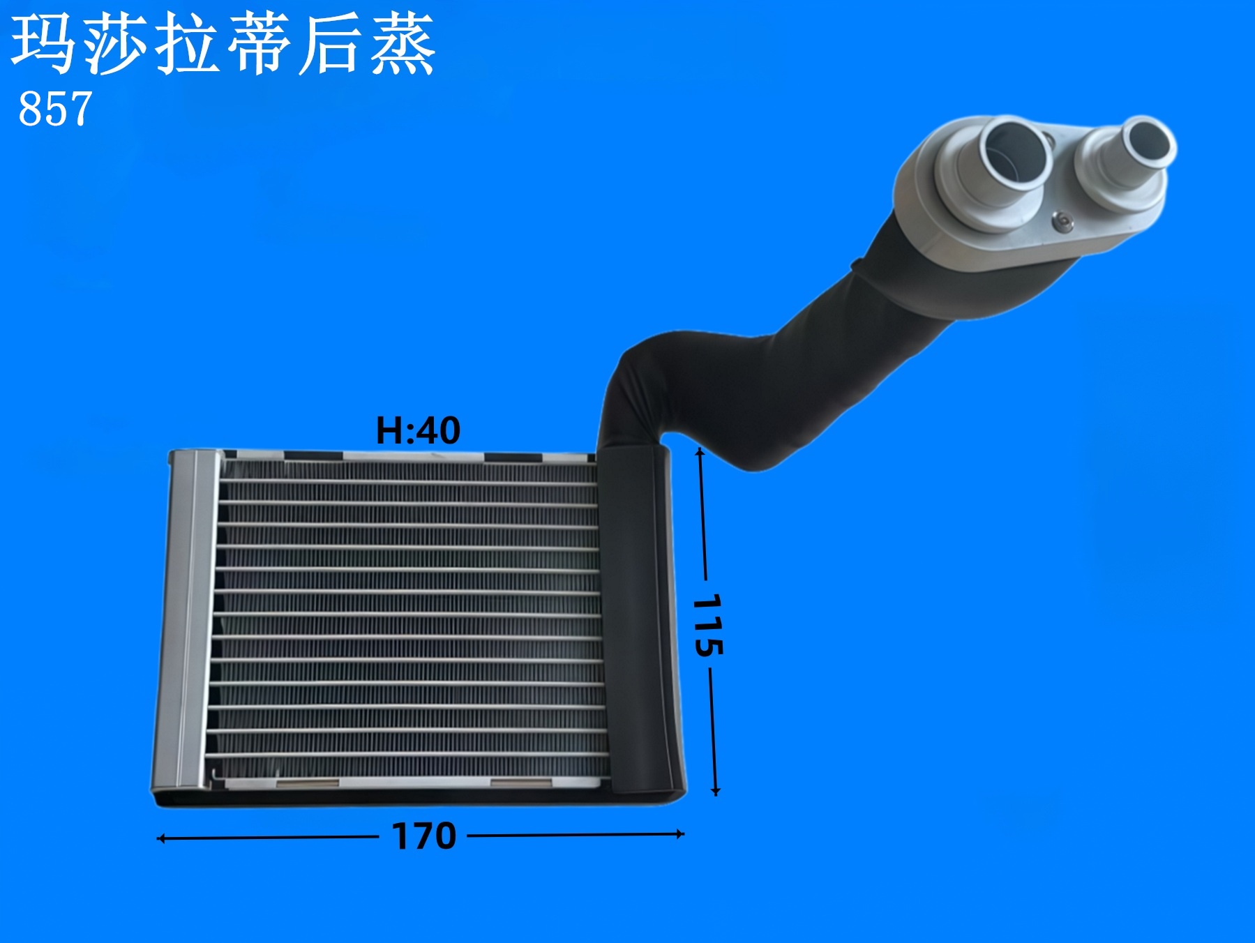 玛莎拉蒂后蒸