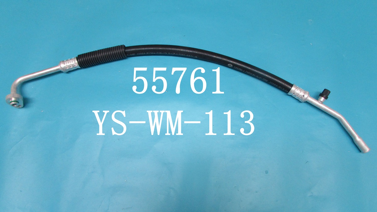 YS-WM-113