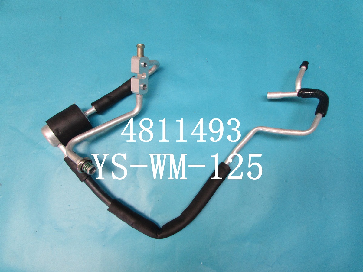 YS-WM-125