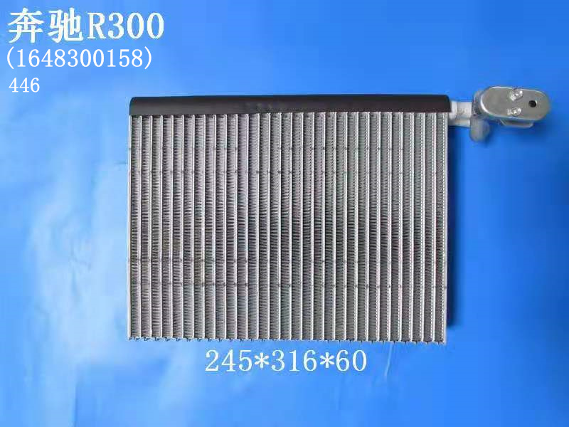 奔驰R300