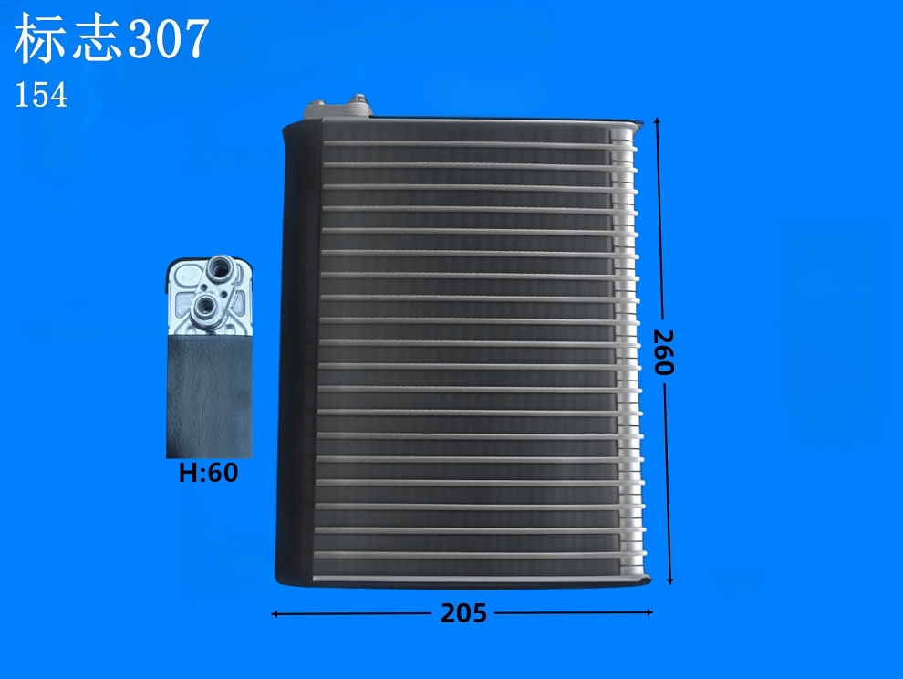 标志307